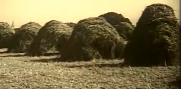 Video: Stacking hay and grains
